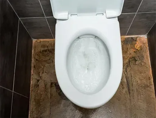 Desentupimento de Vasos Sanitários em Cosmópolis